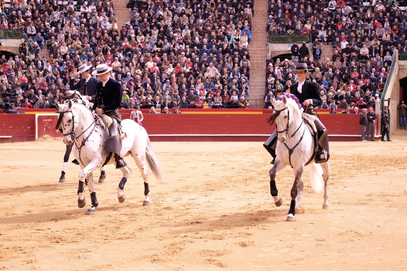 Valencia, 19 de marzo de 2018. Rejones