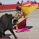 Arles - Novillada sin picadores matinal - Sábado 31 de marzo de 2018