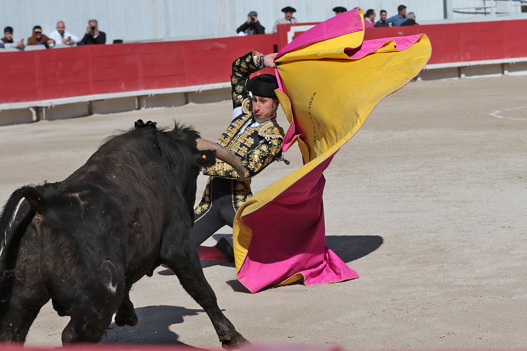 Arles - Novillada sin picadores matinal - Sábado 31 de marzo de 2018