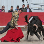 Arles - Novillada sin picadores matinal - Sábado 31 de marzo de 2018