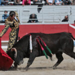 Arles - Novillada sin picadores matinal - Sábado 31 de marzo de 2018