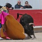 Arles - Novillada sin picadores matinal - Sábado 31 de marzo de 2018