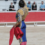 Arles - Novillada sin picadores matinal - Sábado 31 de marzo de 2018