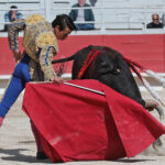 Arles - Novillada sin picadores matinal - Sábado 31 de marzo de 2018