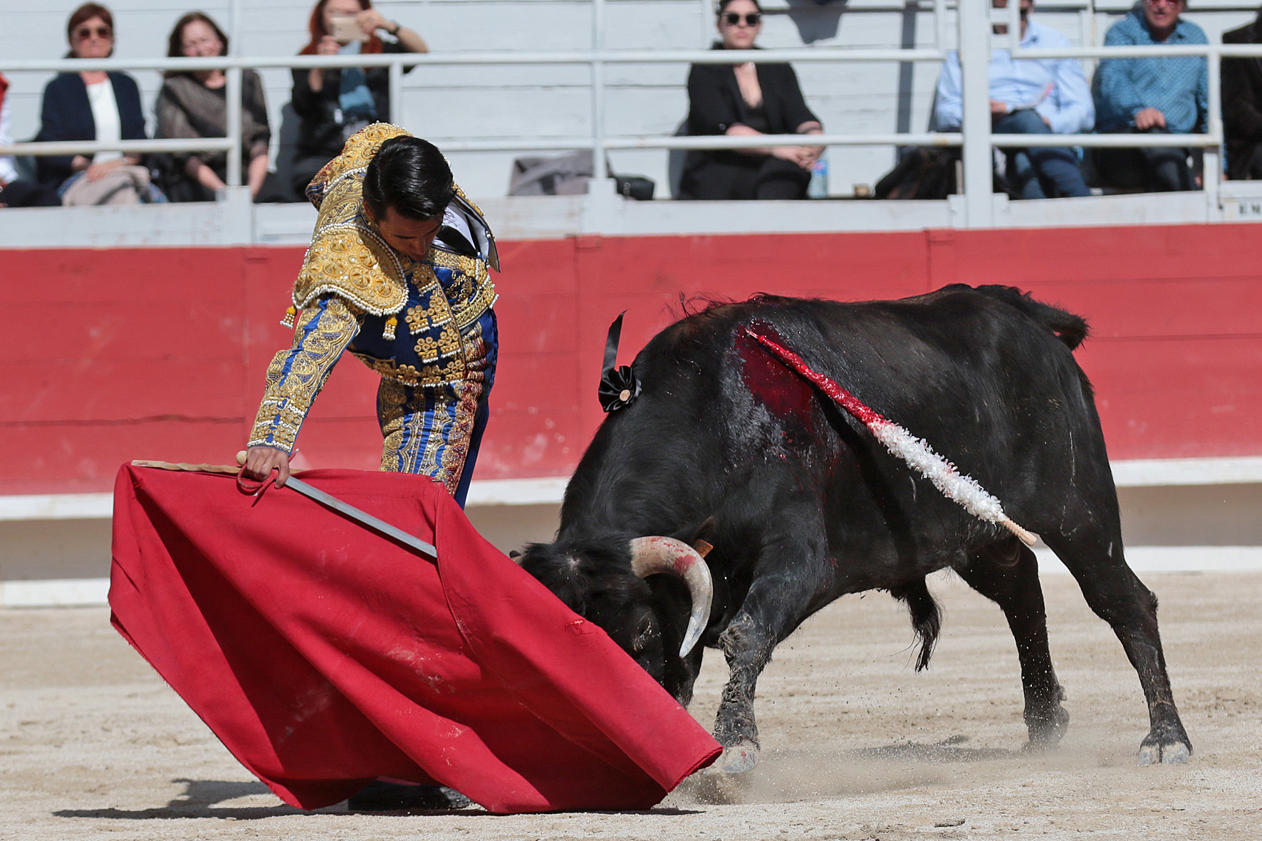 Arles - Novillada sin picadores matinal - Sábado 31 de marzo de 2018
