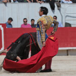 Arles - Novillada sin picadores matinal - Sábado 31 de marzo de 2018