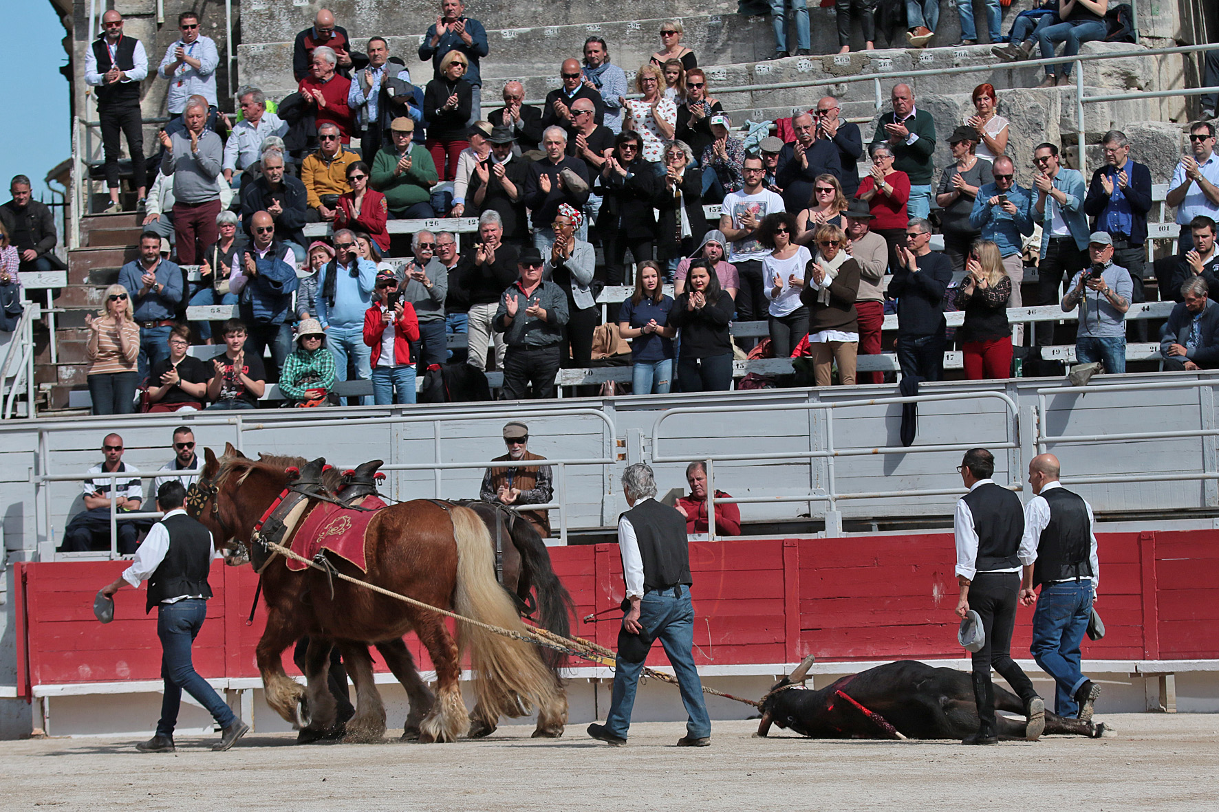 Arles - Novillada sin picadores matinal - Sábado 31 de marzo de 2018