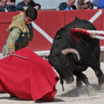 Arles - Novillada sin picadores matinal - Sábado 31 de marzo de 2018