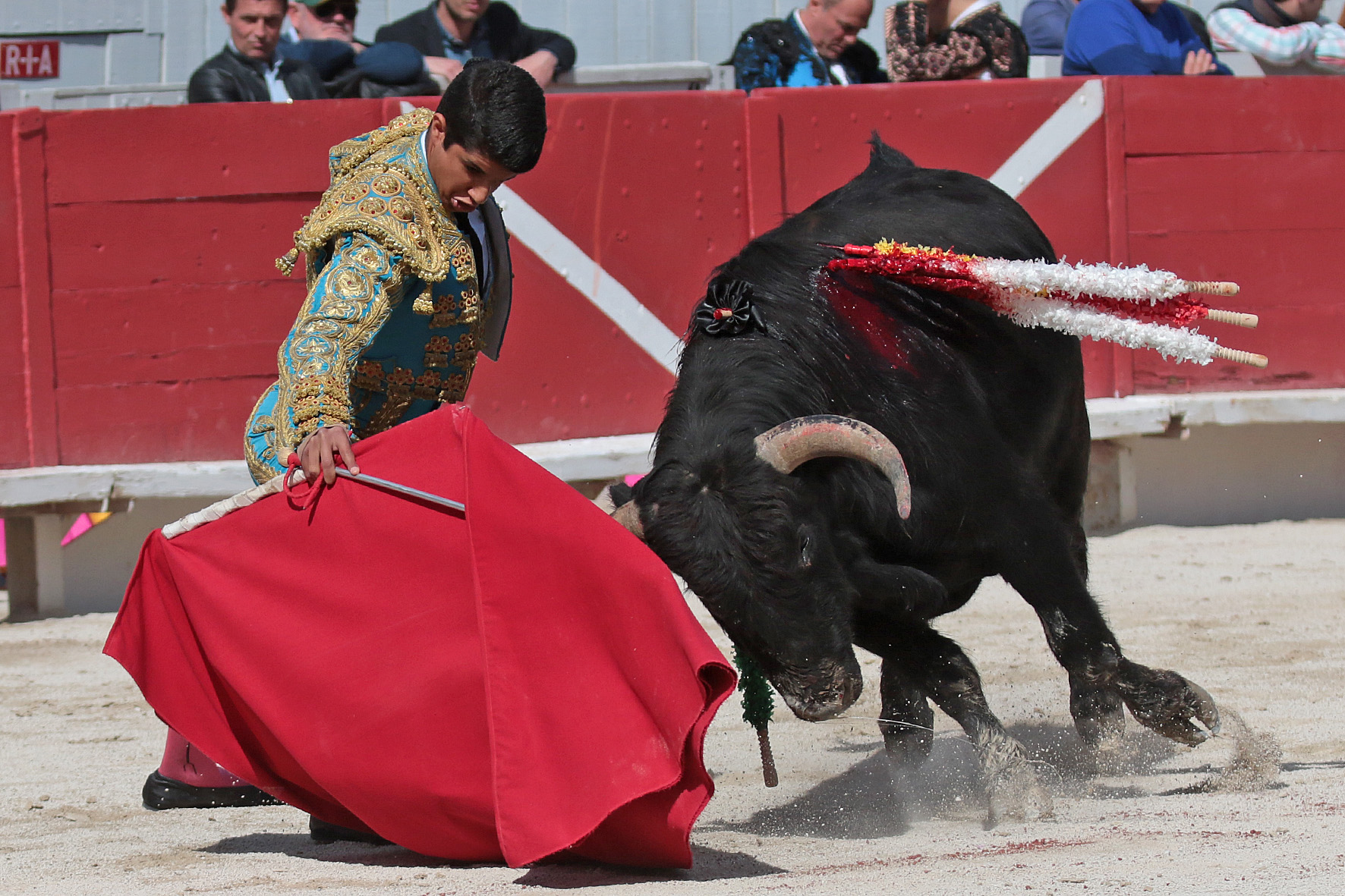 Arles - Novillada sin picadores matinal - Sábado 31 de marzo de 2018