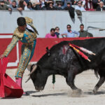 Arles - Novillada sin picadores matinal - Sábado 31 de marzo de 2018