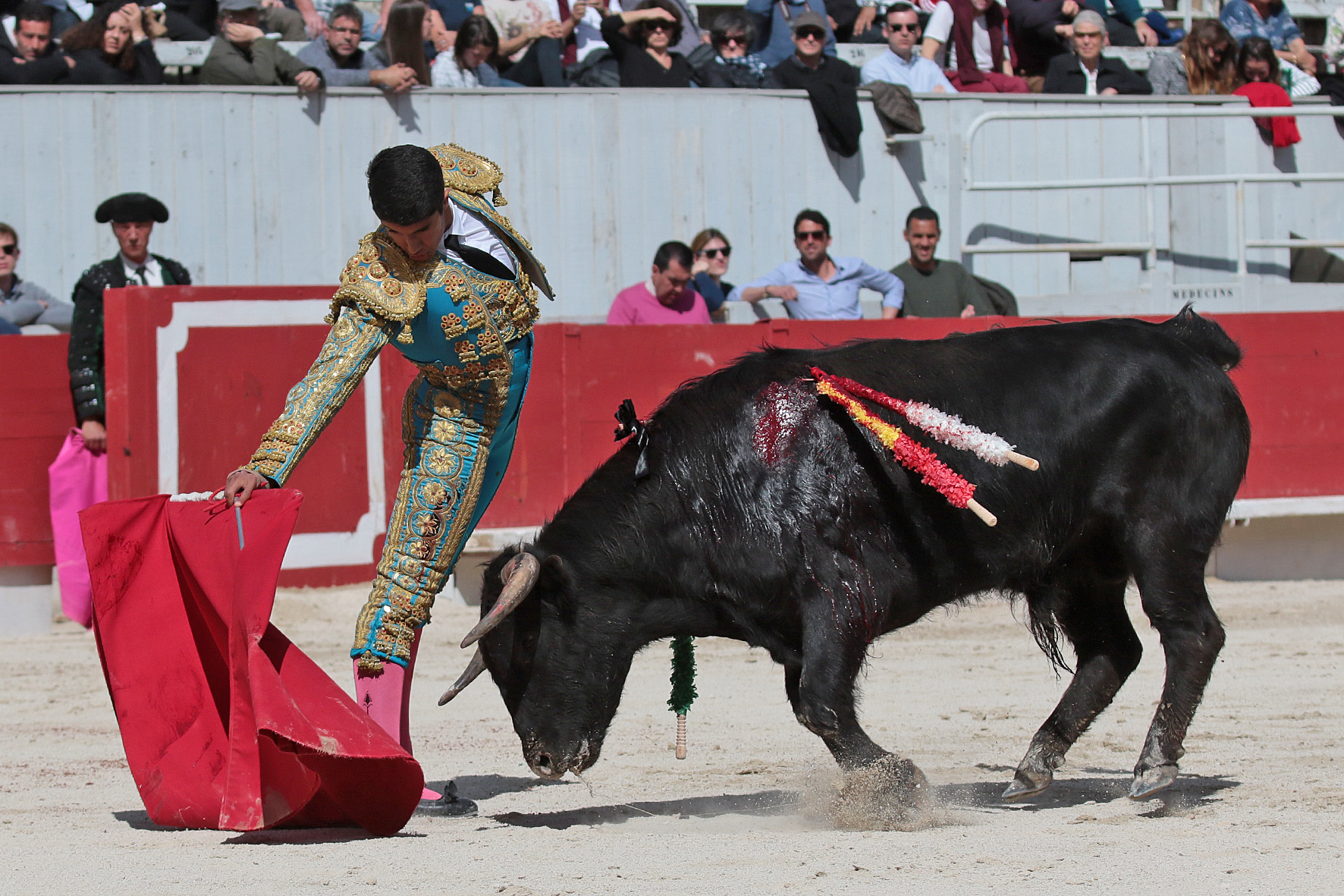 Arles - Novillada sin picadores matinal - Sábado 31 de marzo de 2018