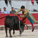 Arles - Novillada sin picadores matinal - Sábado 31 de marzo de 2018