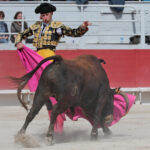 Arles - Novillada sin picadores matinal - Sábado 31 de marzo de 2018