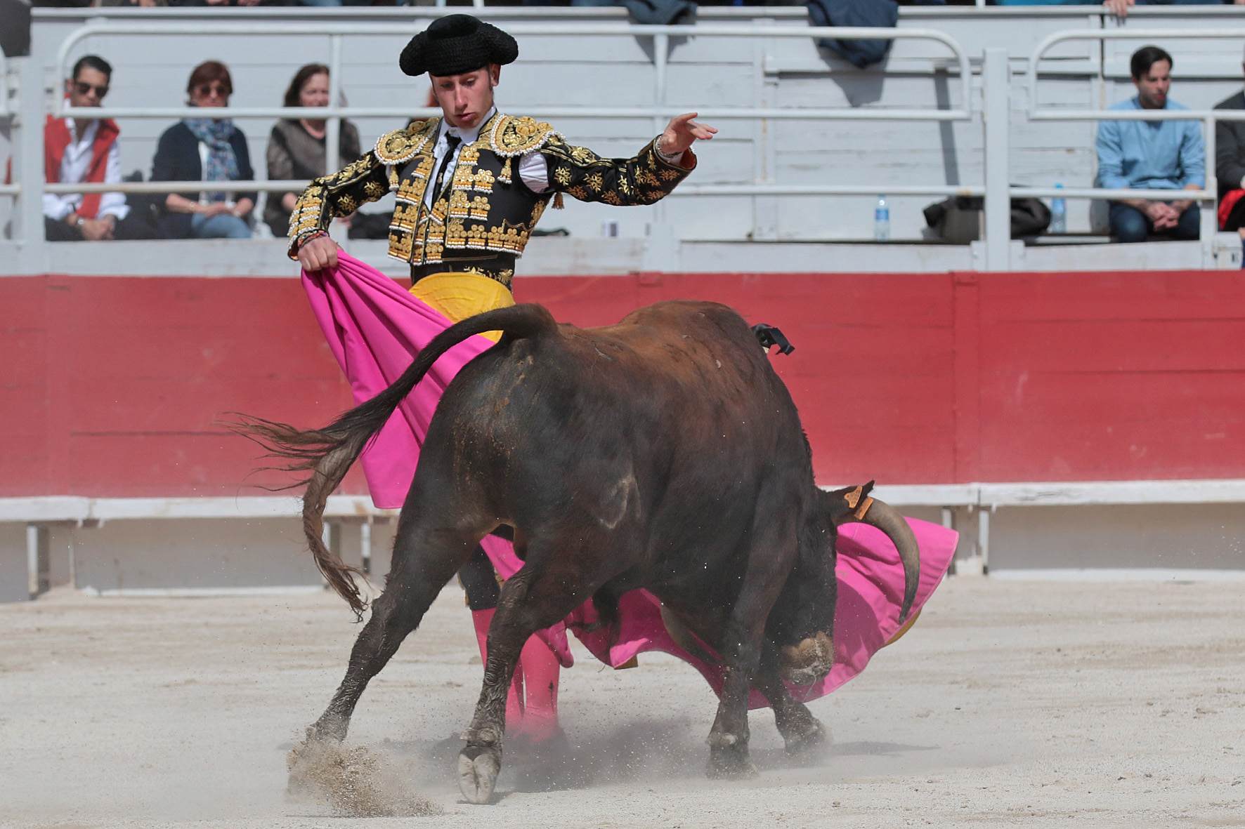 Arles - Novillada sin picadores matinal - Sábado 31 de marzo de 2018