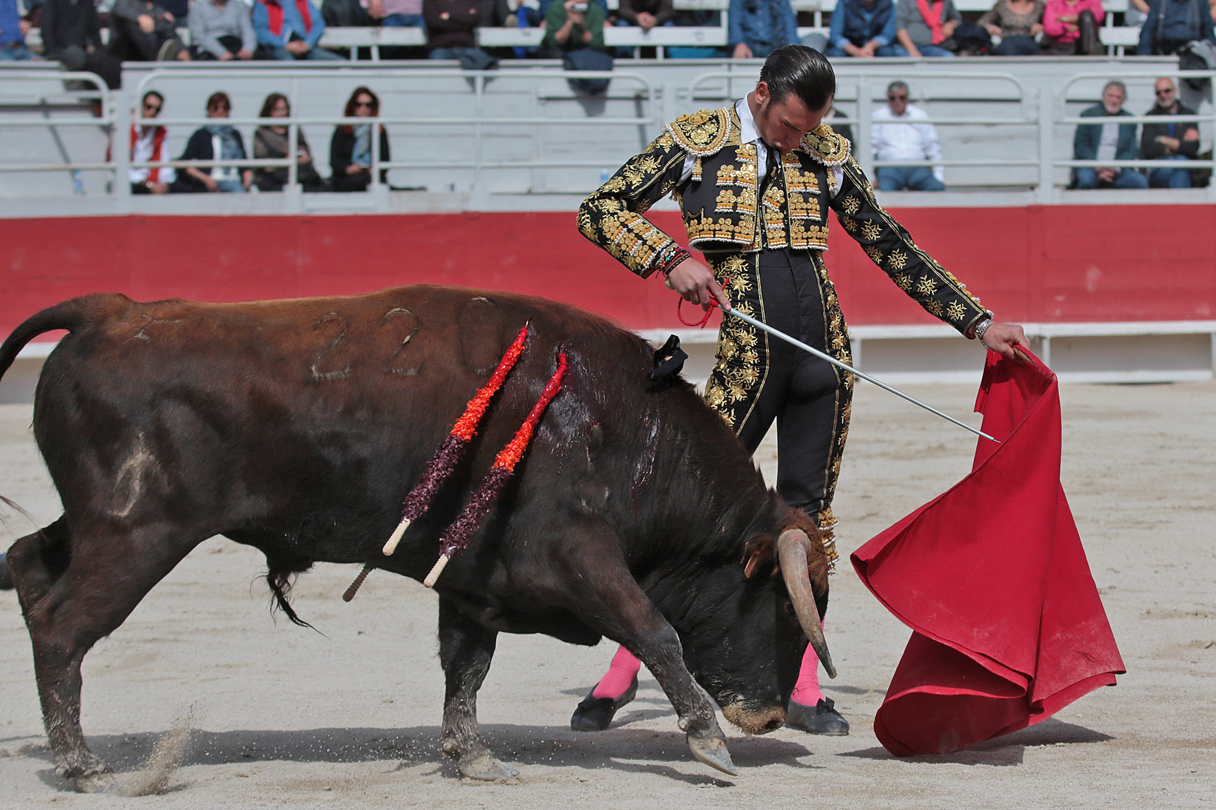 Arles - Novillada sin picadores matinal - Sábado 31 de marzo de 2018