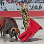 Arles - Novillada sin picadores matinal - Sábado 31 de marzo de 2018