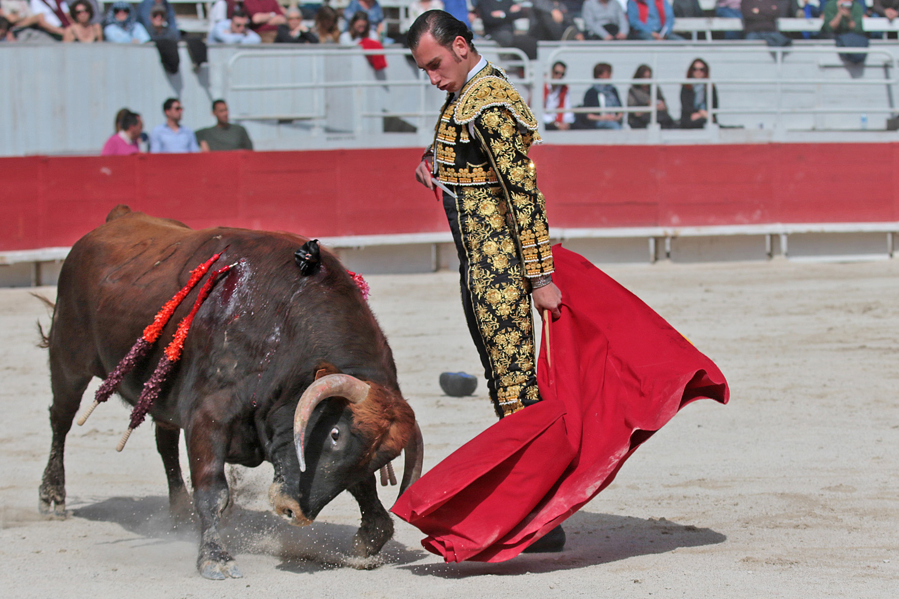 Arles - Novillada sin picadores matinal - Sábado 31 de marzo de 2018