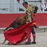 Arles - Novillada sin picadores matinal - Sábado 31 de marzo de 2018