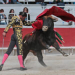 Arles - Novillada sin picadores matinal - Sábado 31 de marzo de 2018