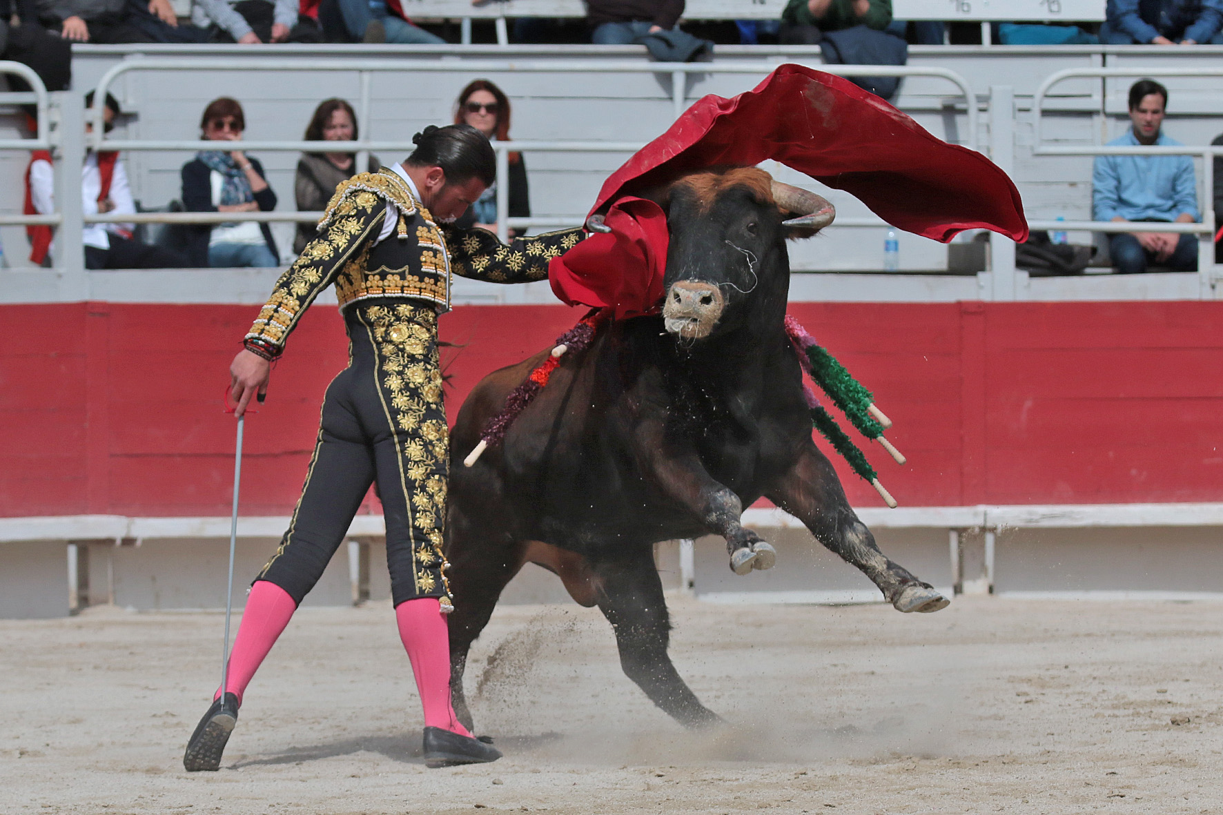 Arles - Novillada sin picadores matinal - Sábado 31 de marzo de 2018
