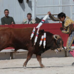 Arles - Novillada sin picadores matinal - Sábado 31 de marzo de 2018
