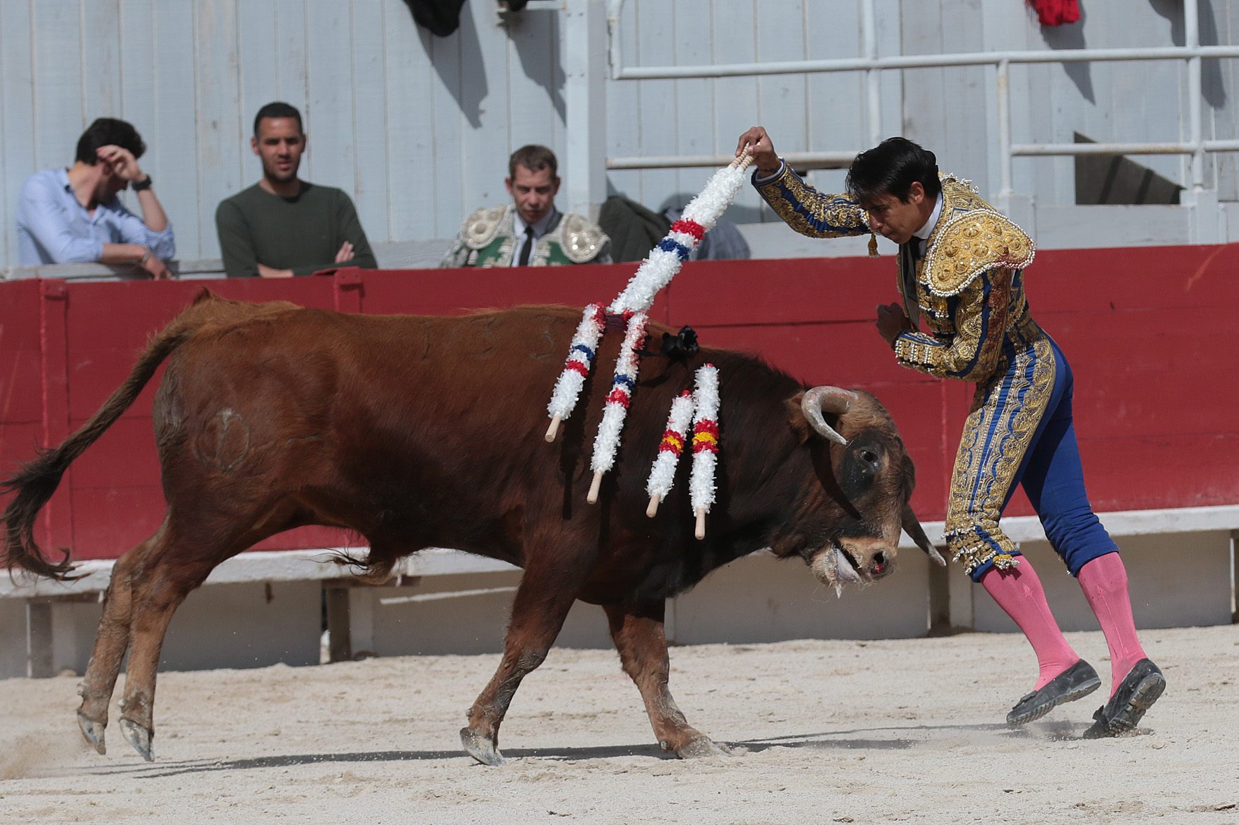 Arles - Novillada sin picadores matinal - Sábado 31 de marzo de 2018