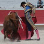 Arles - Novillada sin picadores matinal - Sábado 31 de marzo de 2018