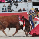 Arles - Novillada sin picadores matinal - Sábado 31 de marzo de 2018
