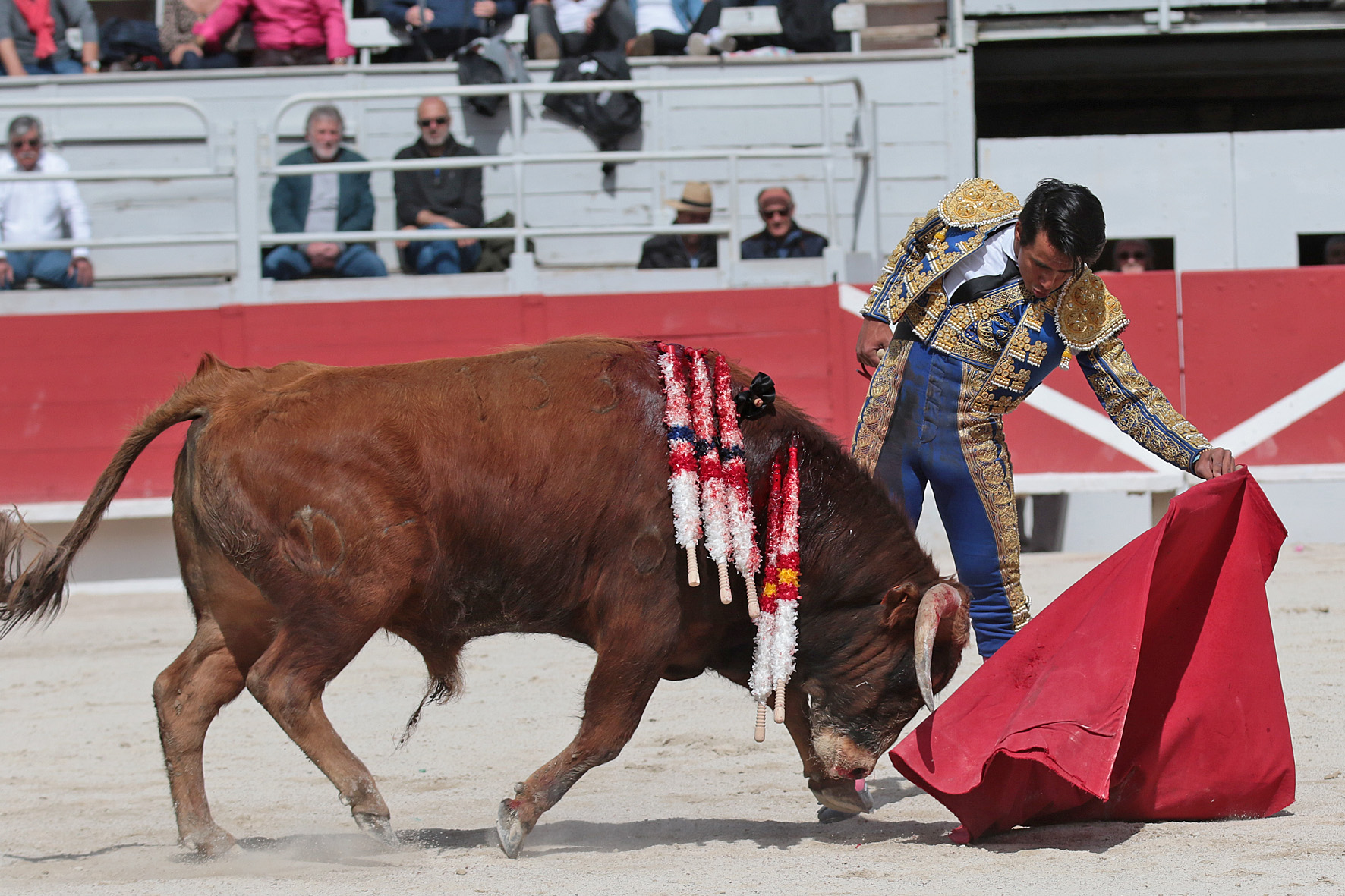 Arles - Novillada sin picadores matinal - Sábado 31 de marzo de 2018