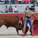 Arles - Novillada sin picadores matinal - Sábado 31 de marzo de 2018