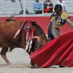 Arles - Novillada sin picadores matinal - Sábado 31 de marzo de 2018