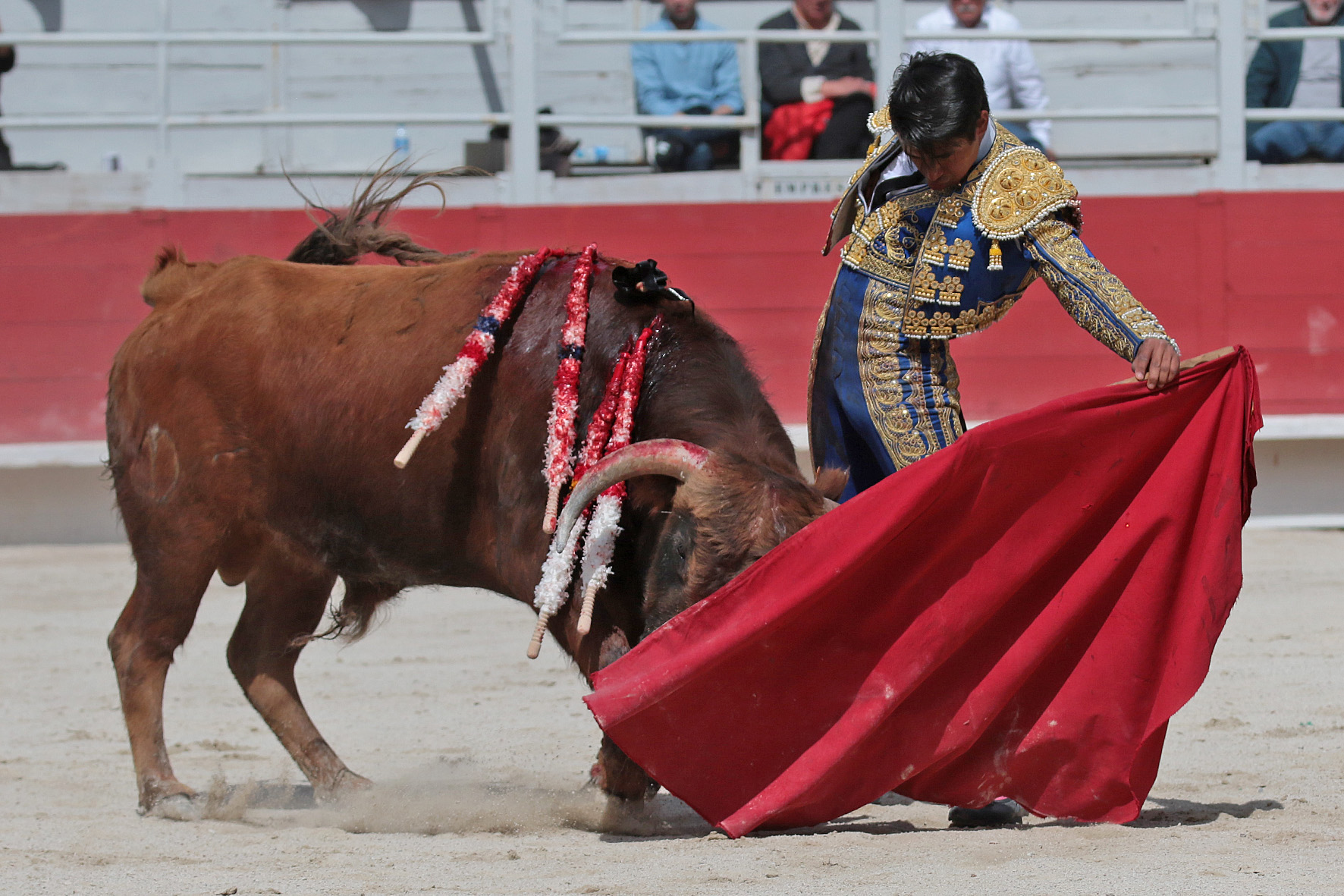 Arles - Novillada sin picadores matinal - Sábado 31 de marzo de 2018