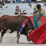 Arles - Novillada sin picadores matinal - Sábado 31 de marzo de 2018