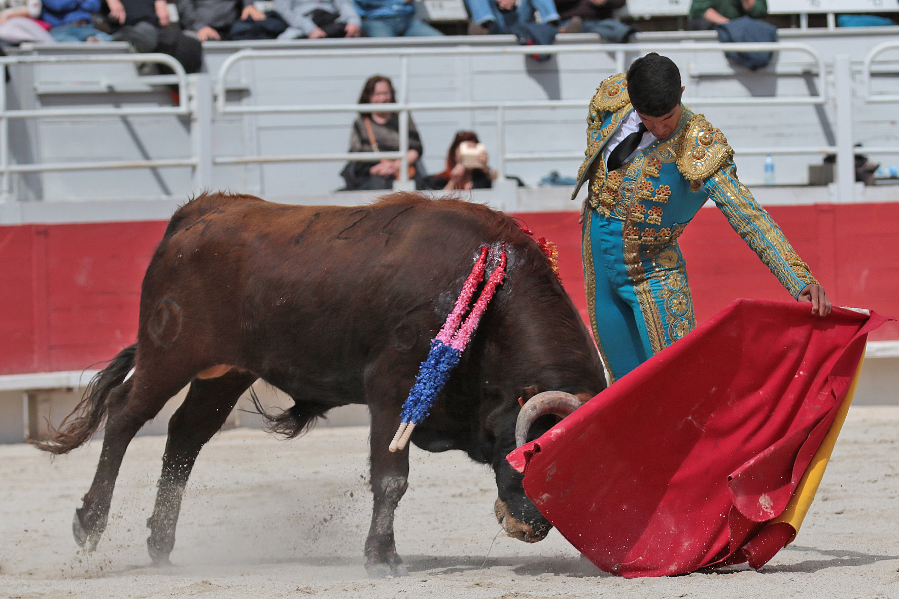 Arles - Novillada sin picadores matinal - Sábado 31 de marzo de 2018