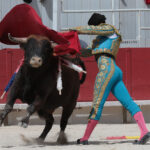 Arles - Novillada sin picadores matinal - Sábado 31 de marzo de 2018