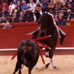 Valencia, 19 de marzo de 2018. Rejones