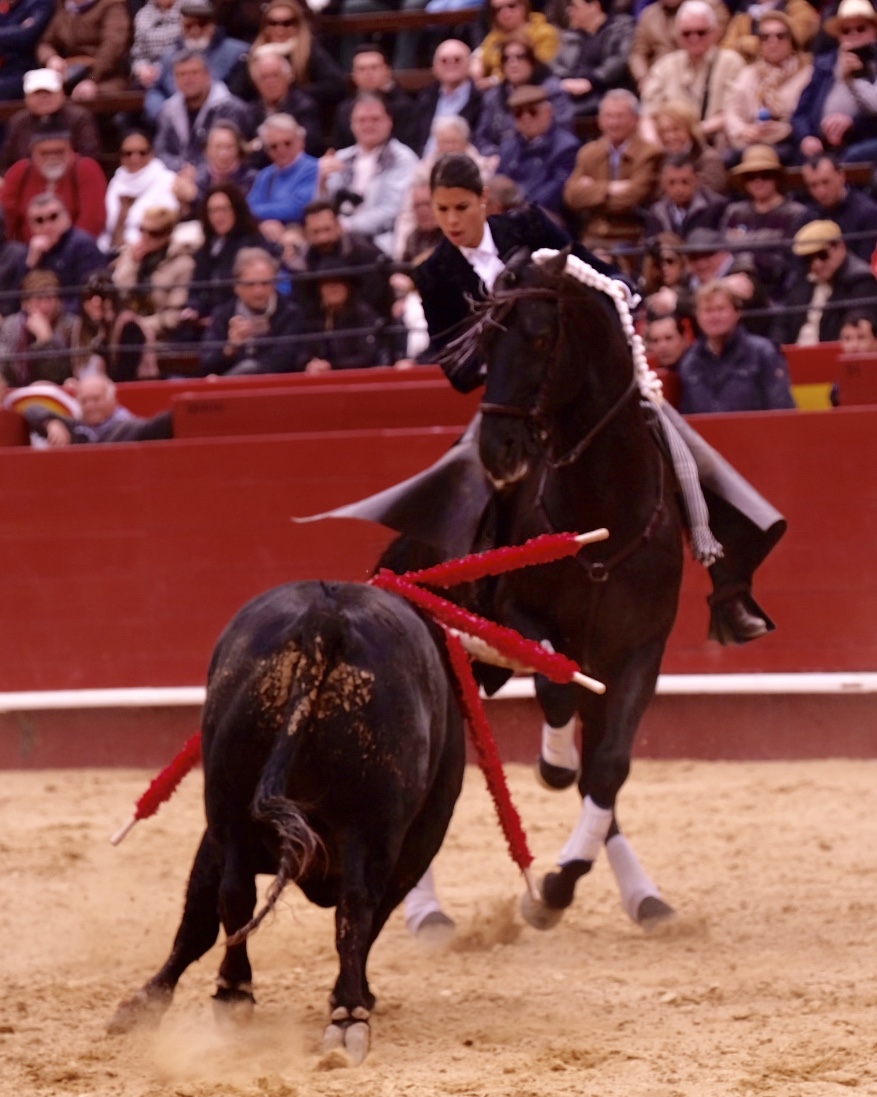 Valencia, 19 de marzo de 2018. Rejones