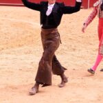 Valencia, 19 de marzo de 2018. Rejones