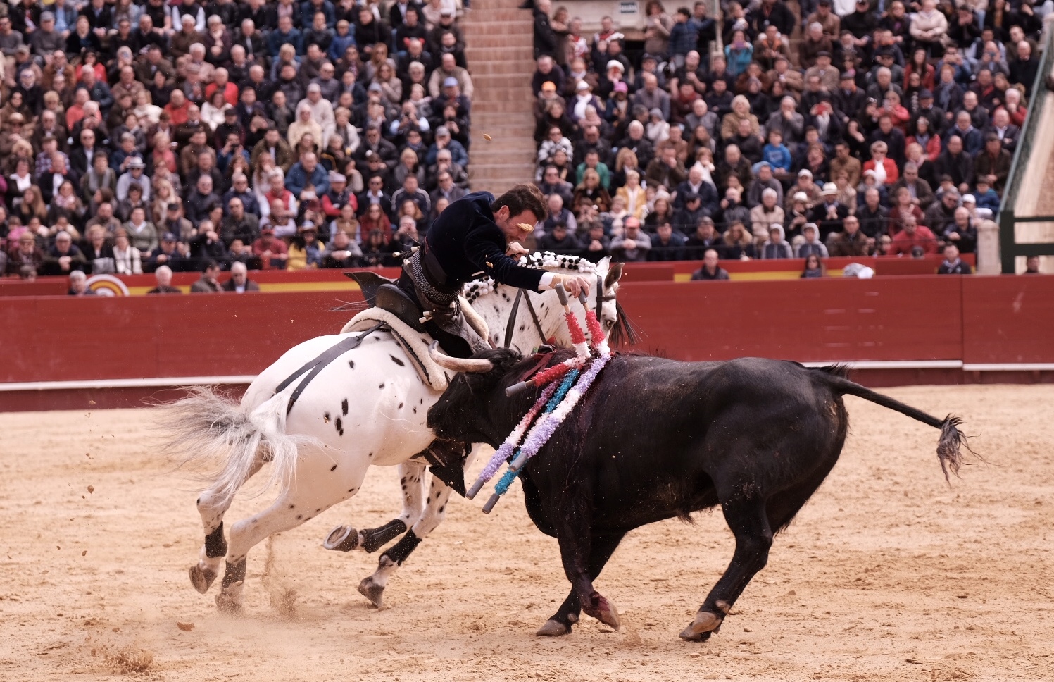 Valencia, 19 de marzo de 2018. Rejones
