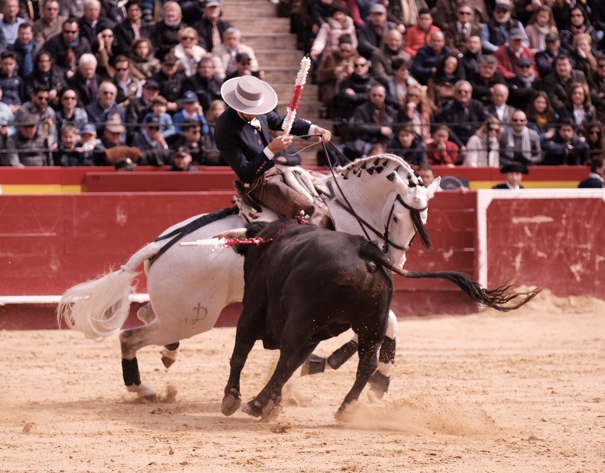 Valencia, 19 de marzo de 2018. Rejones