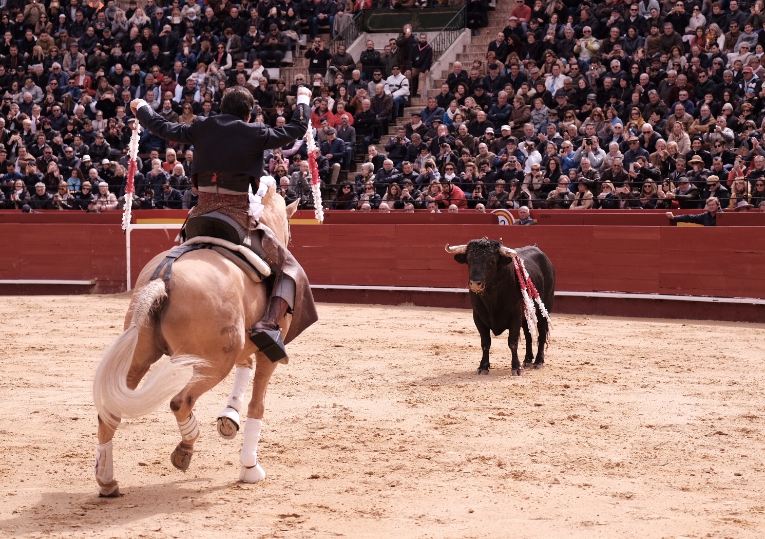 Valencia, 19 de marzo de 2018. Rejones