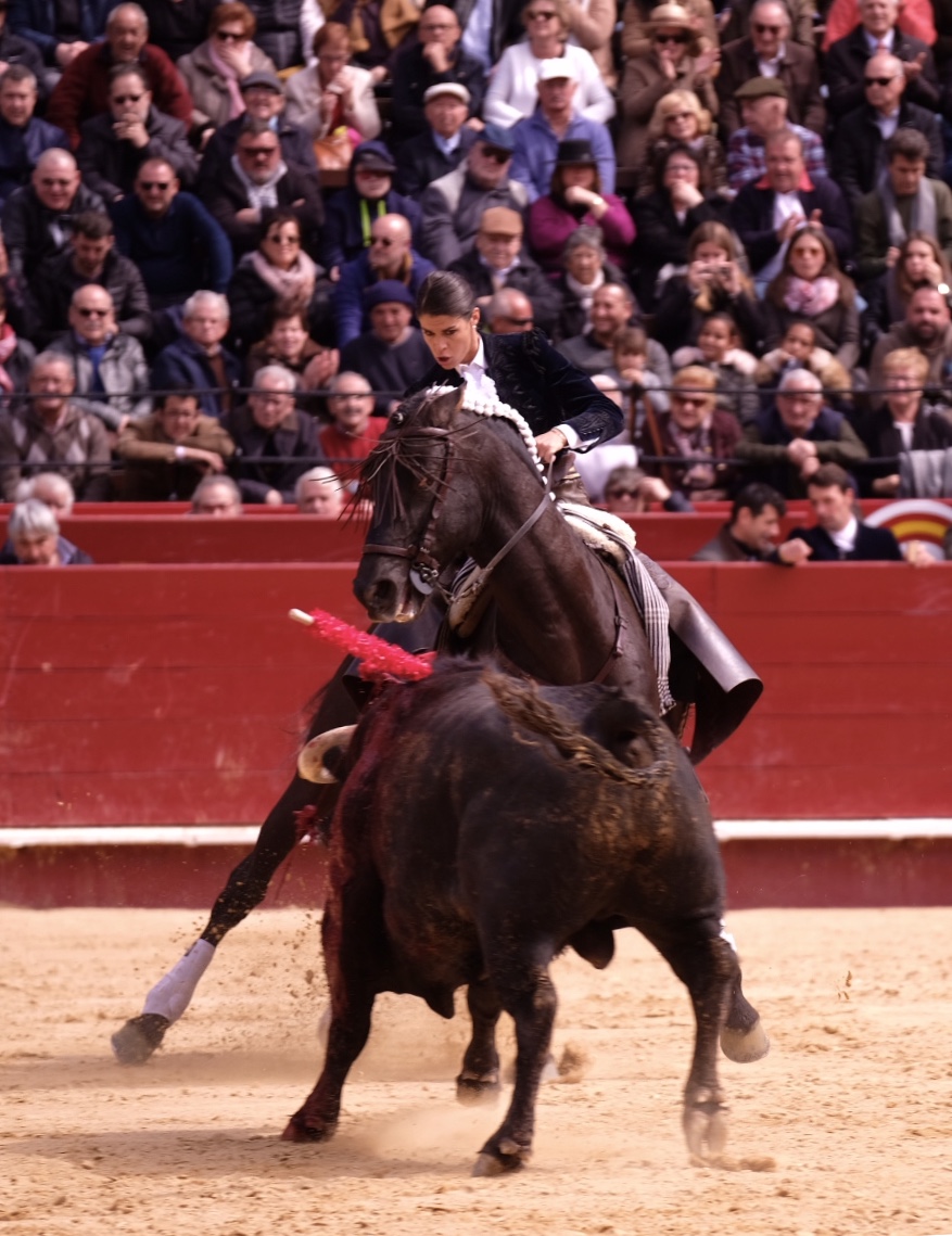 Valencia, 19 de marzo de 2018. Rejones