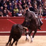 Valencia, 19 de marzo de 2018. Rejones