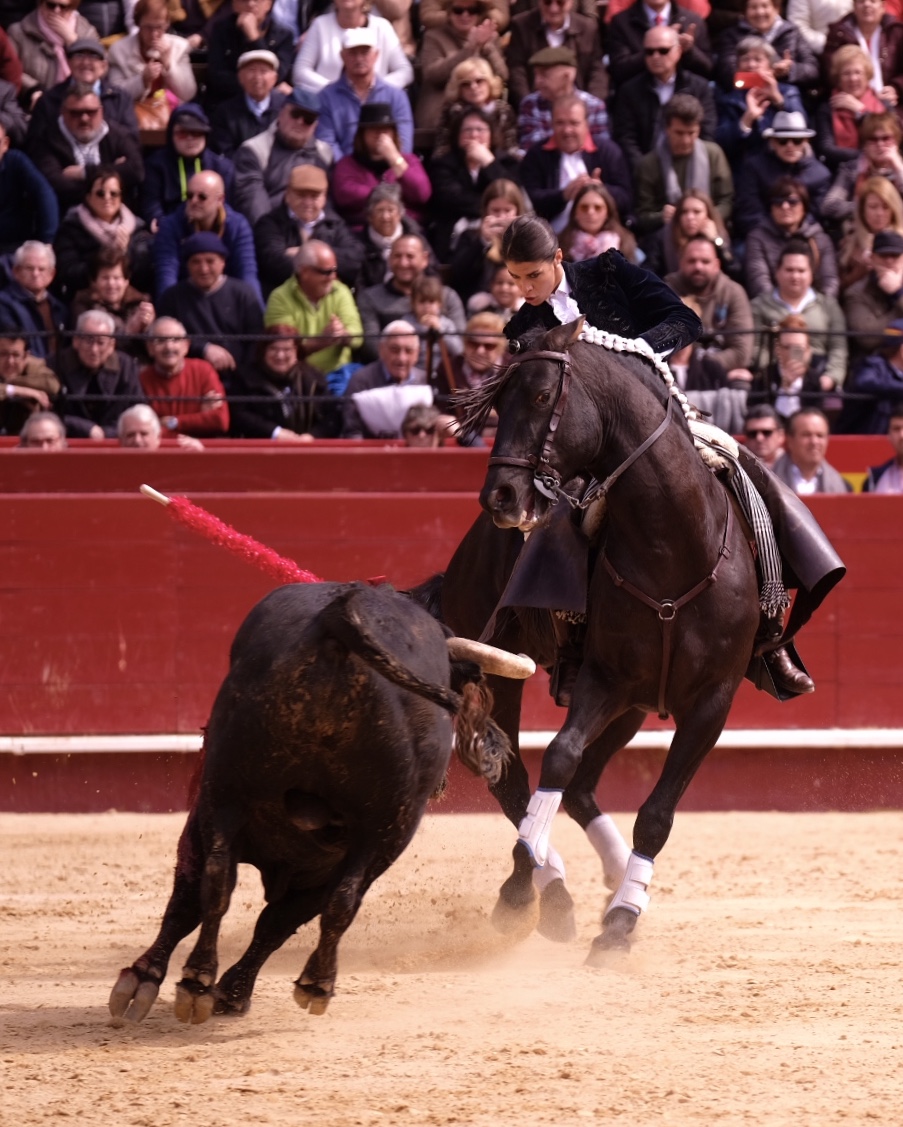 Valencia, 19 de marzo de 2018. Rejones