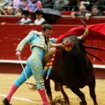 Valencia, 19 de marzo de 2018. Corrida de toros vespertina