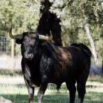 Dolores Aguirre. Camada 2018