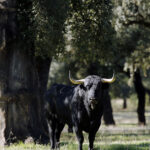 Dolores Aguirre. Camada 2018