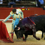 Valencia, 19 de marzo de 2018. Corrida de toros vespertina