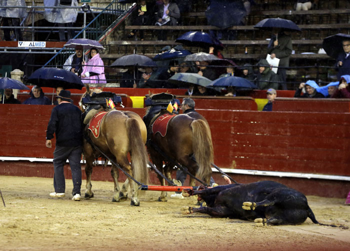 Valencia, 19 de marzo de 2018. Corrida de toros vespertina