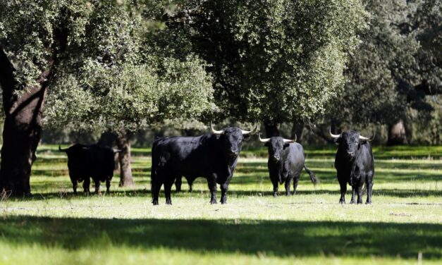 Nuevo organigrama en la Real Unión de Criadores de Toros de Lidia